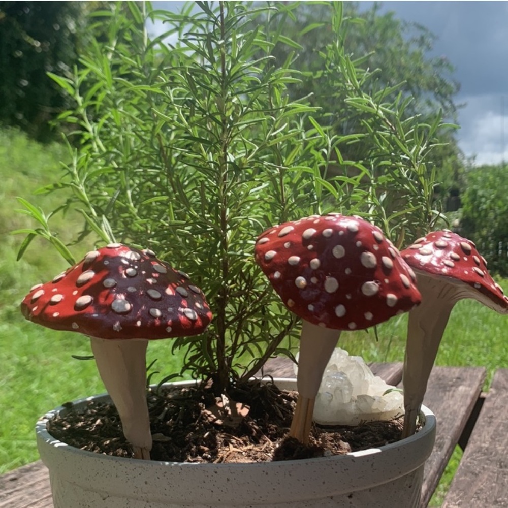 MUSHROOM π Garden Stakes w/ SPOTS! Set of 3 - Picture 4 of 14